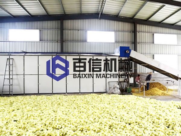 黃蜀葵烘干機在廣東：以海參為原料，打造客戶滿意的口碑產品！
